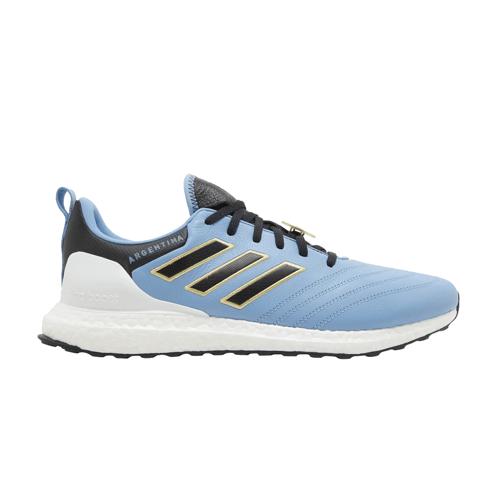 Krossovki-Adidas-Copa-UltraBoost-DNA-World-Cup-Argentina