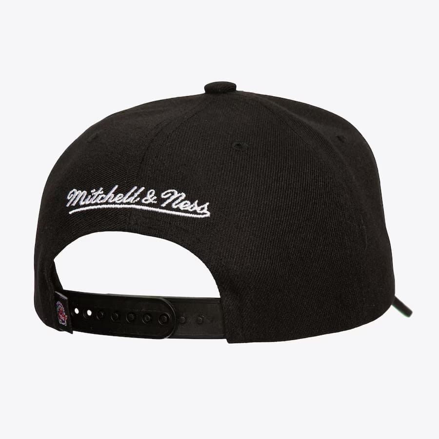 Бейсболка Mitchell & Ness Black Toronto Raptors Hardwood Classics Neon Logo Pro Crown Snapback Hat