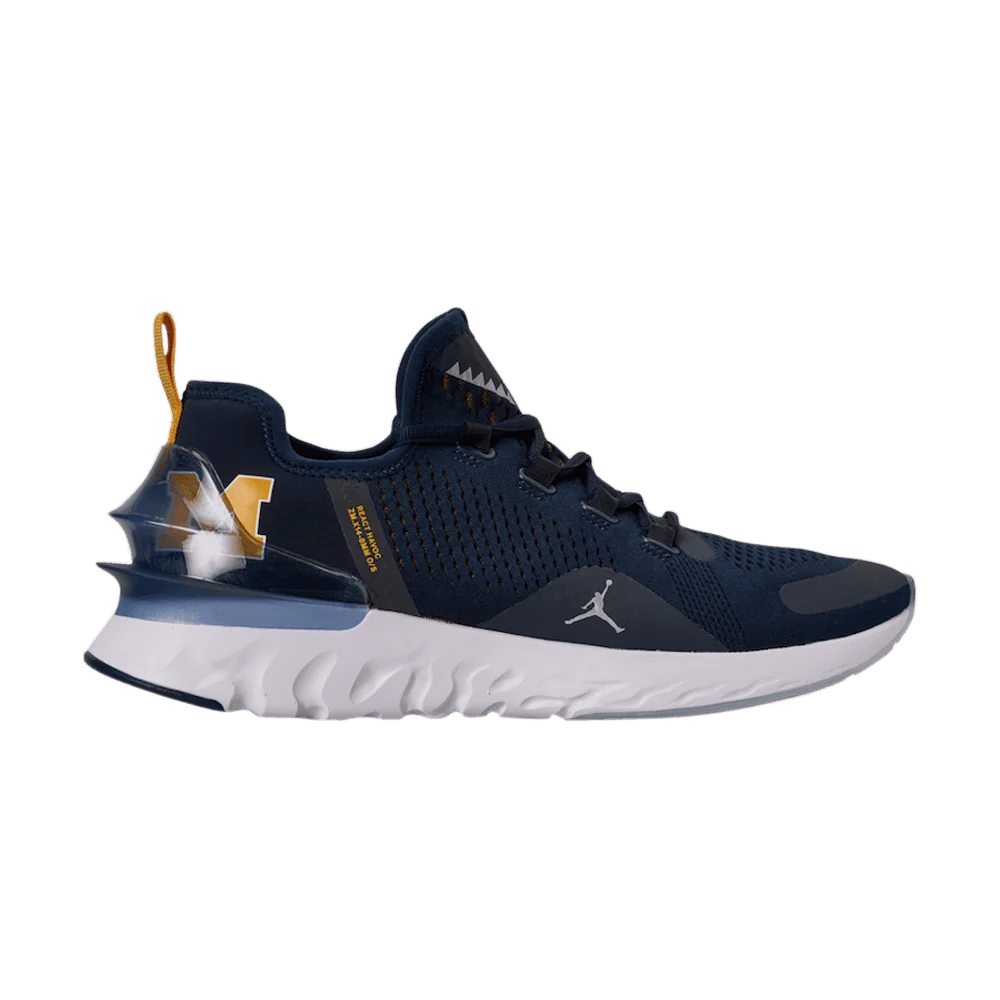 Krossovki-Air-Jordan-React-Havoc-Michigan-Wolverines