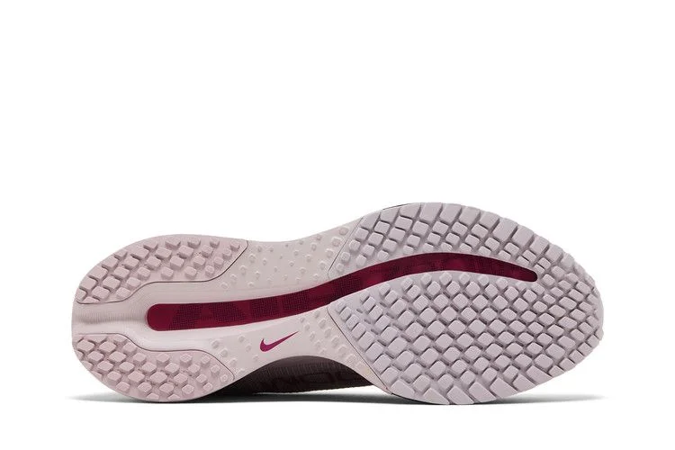 Кроссовки Nike Wmns Pegasus Premium 'Silt Red Particle Rose'