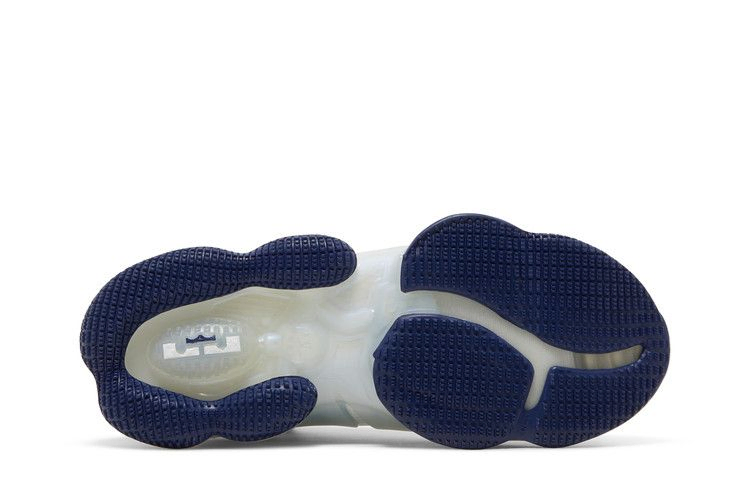 Кроссовки Space Jam x Nike LeBron 19 EP 'Sweatsuit'