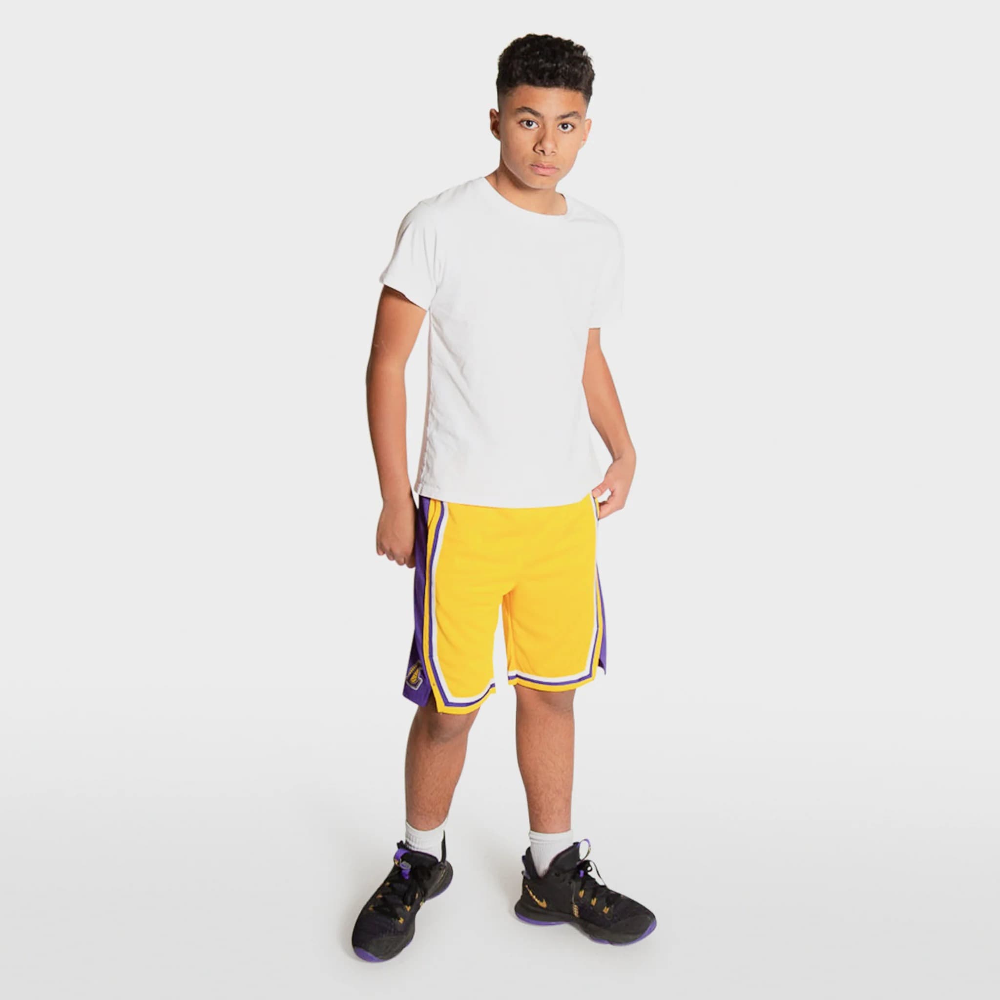 Спортивные шорты Nike Los Angeles Lakers 2024 Icon Edition Swingman Youth NBA Shorts