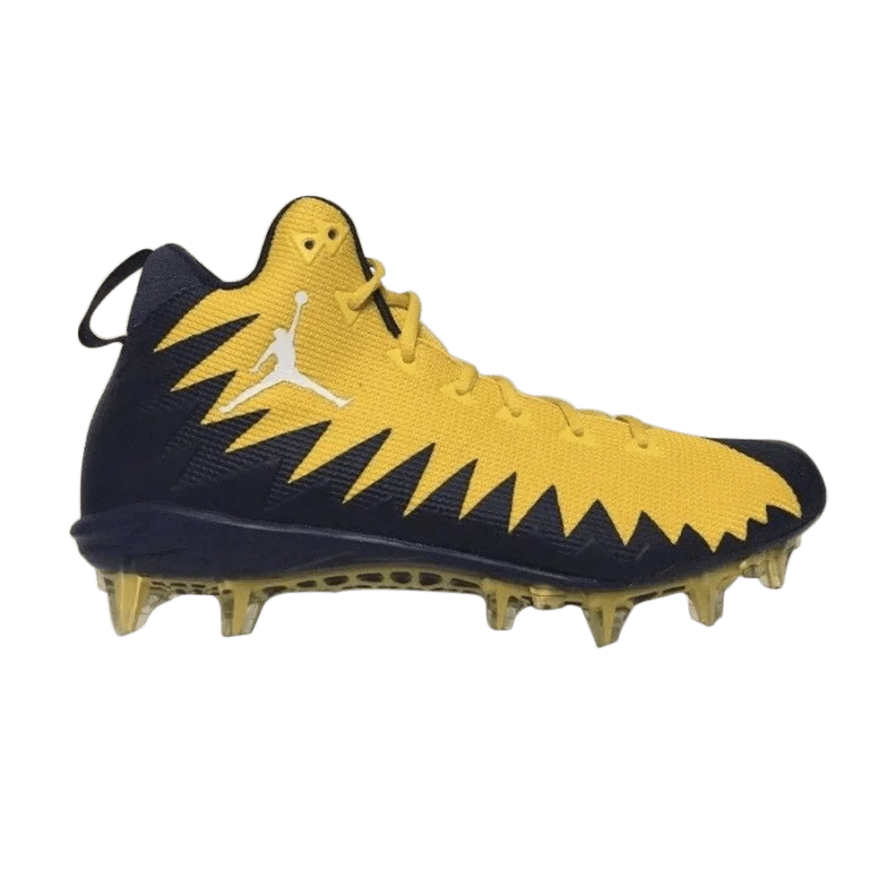 Krossovki-Air-Jordan-Alpha-Menace-Elite-Michigan