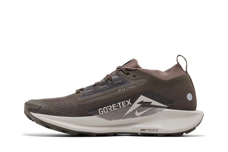 Кроссовки Nike Pegasus Trail 5 GORE-TEX 'Ironstone Velvet Brown'
