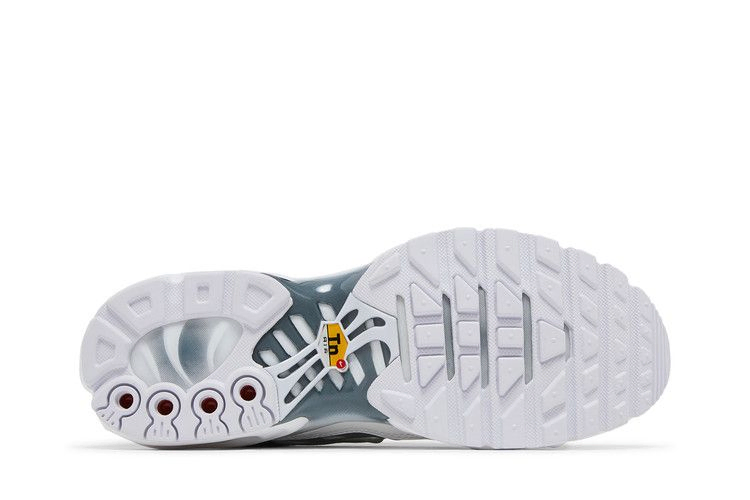 Кроссовки Nike Wmns Air Max Plus 'White Metallic Silver'