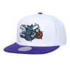 Mitchell-Ness-Logo-Shine-Snapback-HWC-Charlotte-Hornets-Hat-100x100