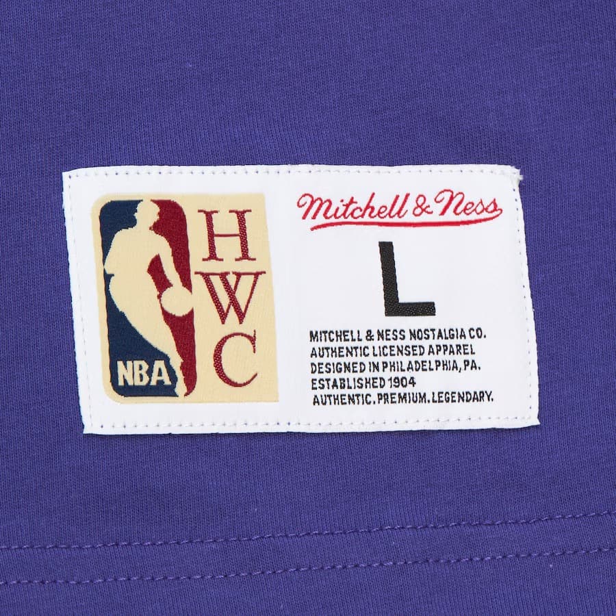 Футболка Mitchell & Ness Purple Sacramento Kings Team OG 3.0 Vintage T-Shirt