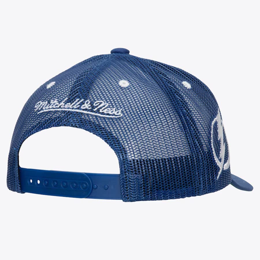 Бейсболка Mitchell & Ness Blue Tampa Bay Lightning Team Seal Trucker Adjustable Hat