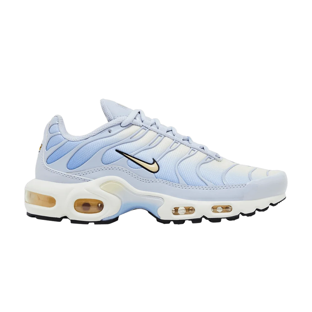 Krossovki-Nike-Wmns-Air-Max-Plus-Daybreak