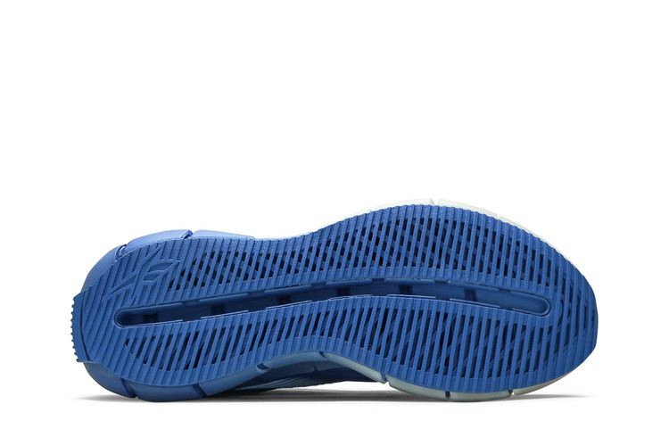 Кроссовки Reebok COTTWEILER x Zig 3D Storm 'Blue'