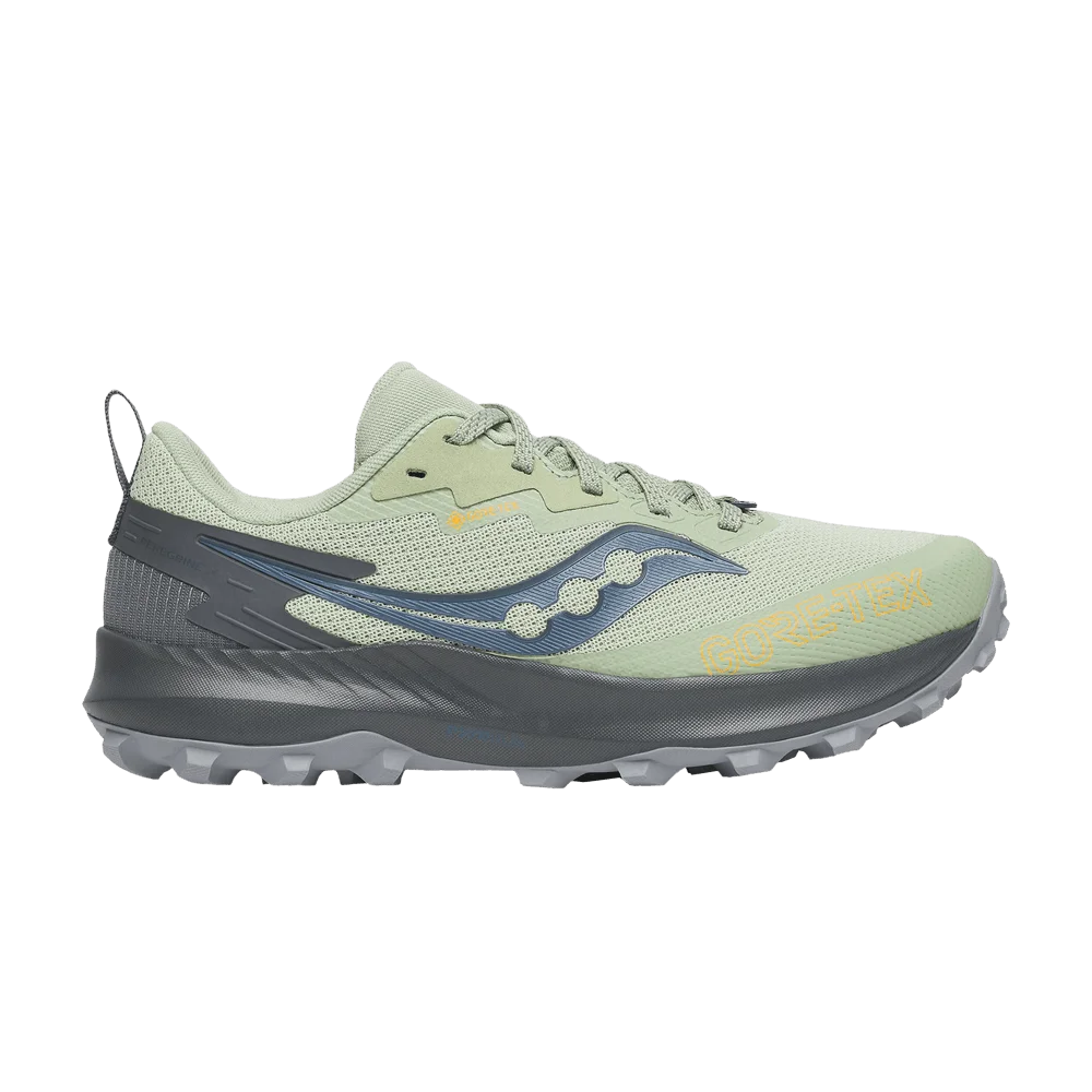 Krossovki-Saucony-Wmns-Peregrine-14-GORE-TEX-Sage-Carbon
