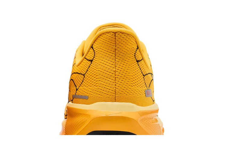Кроссовки Nike Air Zoom Pegasus 41 LV8 'Modern Mayfly Pack'