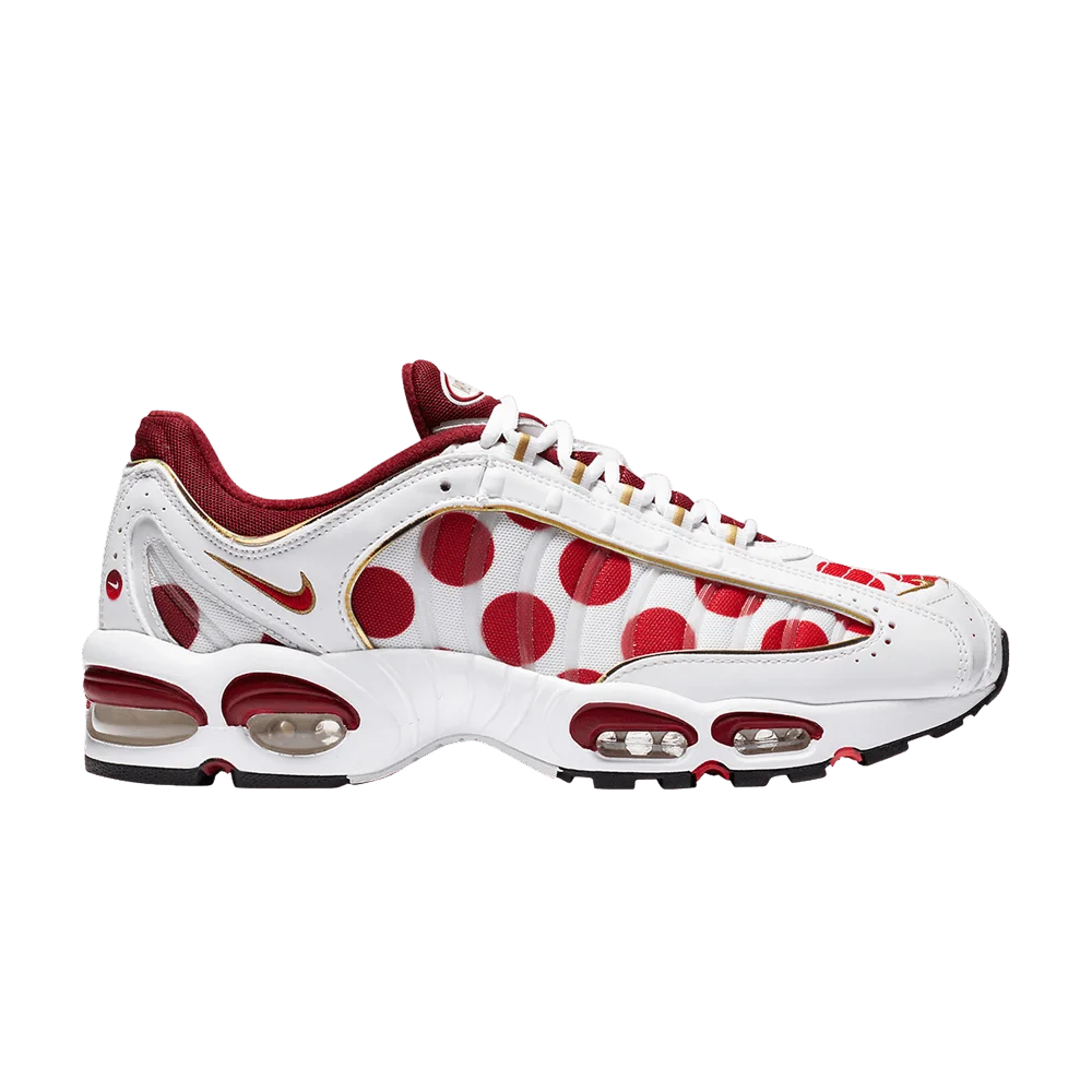 Krossovki-Nike-Air-Max-Tailwind-4-Nippon
