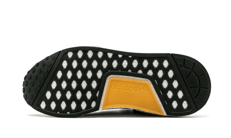 Кроссовки Adidas NMD_R1 'Grey Brown'