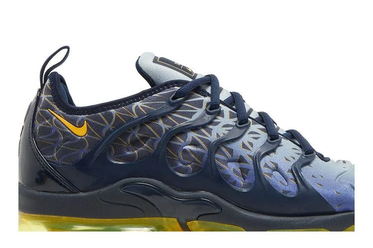 Кроссовки Nike Air VaporMax Plus 'Indigo Storm'