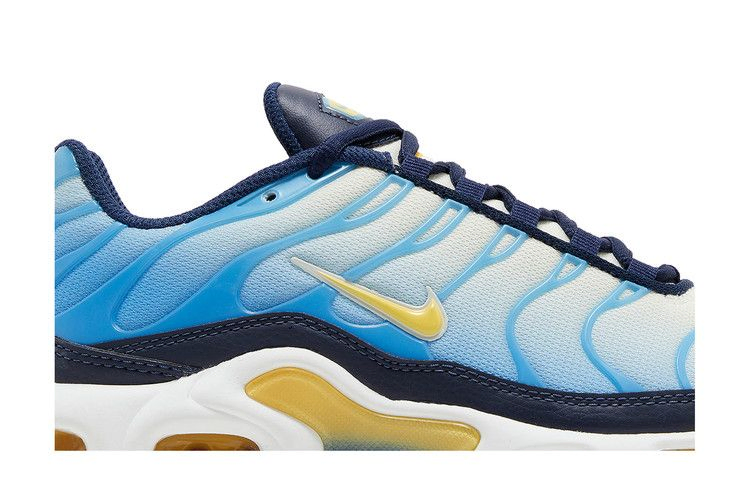 Кроссовки Nike Wmns Air Max Plus 'University Blue Topaz Gold'