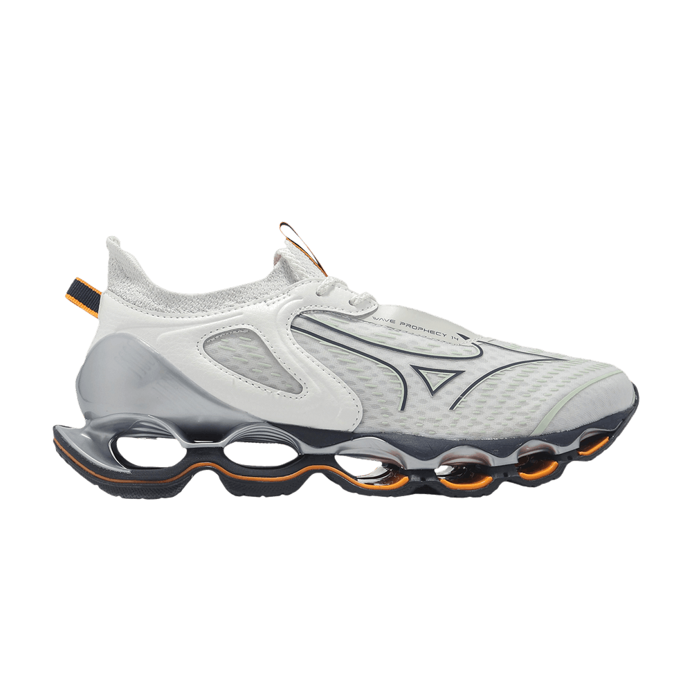 Кроссовки Mizuno Wave Prophecy 14 'Grey White'