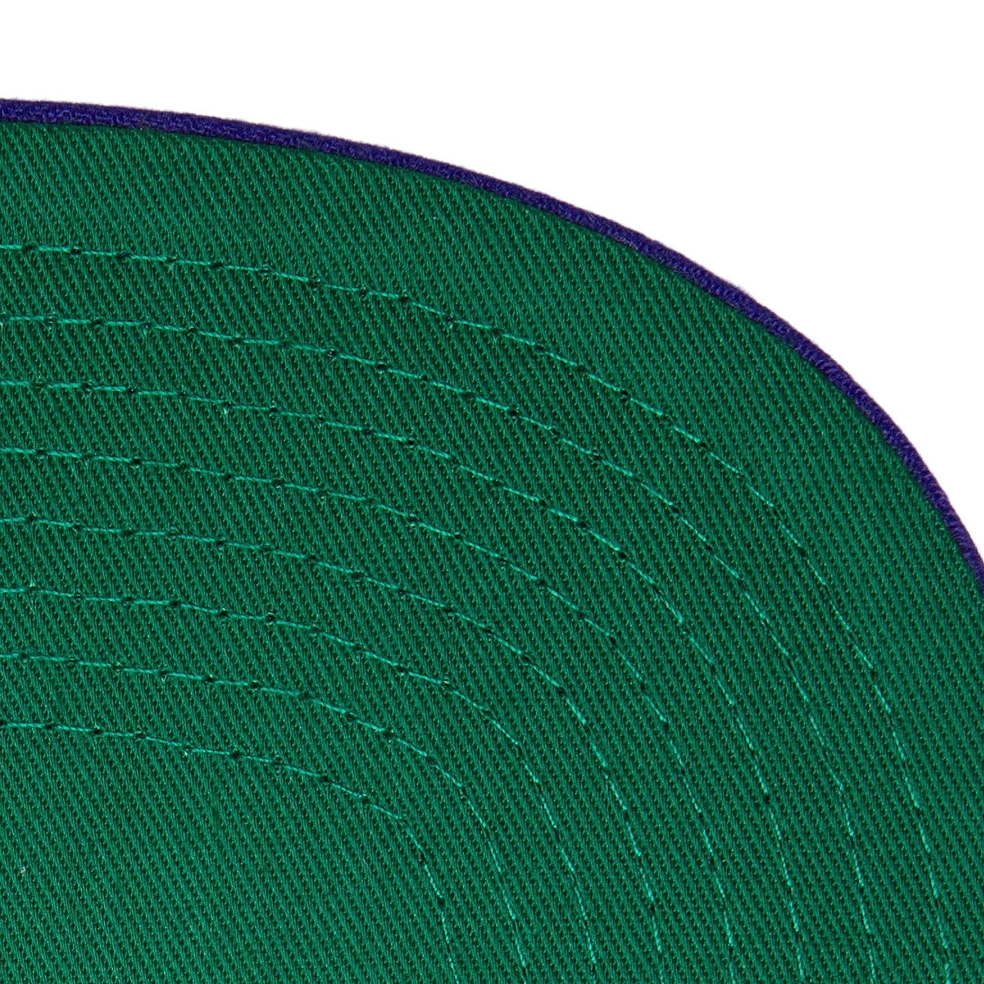 Бейсболка Mitchell & Ness Logo Shine Snapback HWC Charlotte Hornets Hat