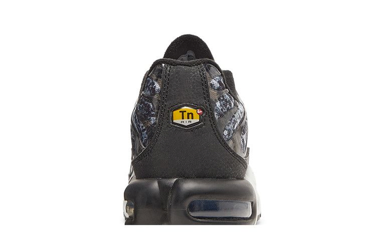 Кроссовки Nike Air Max Plus 'Shattered Ice - Black'