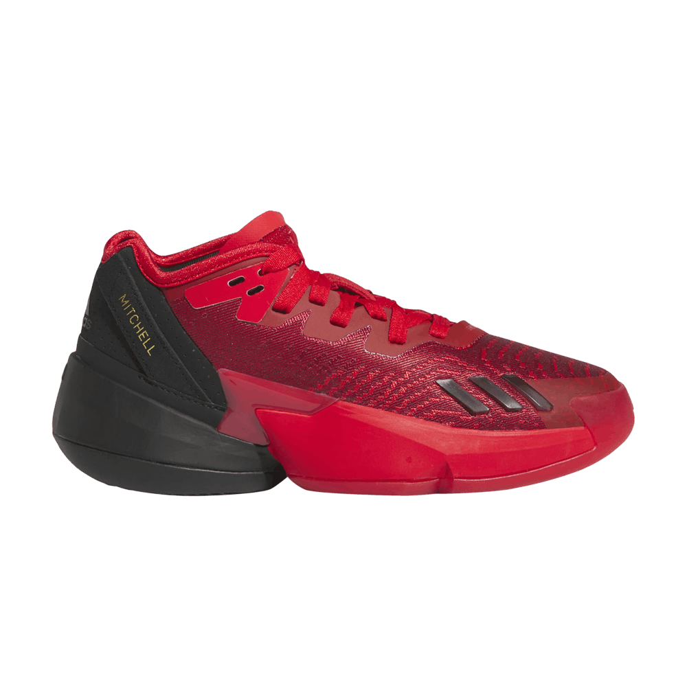 Кроссовки adidas D.O.N. Issue #4 Big Kid 'Future of Fast'