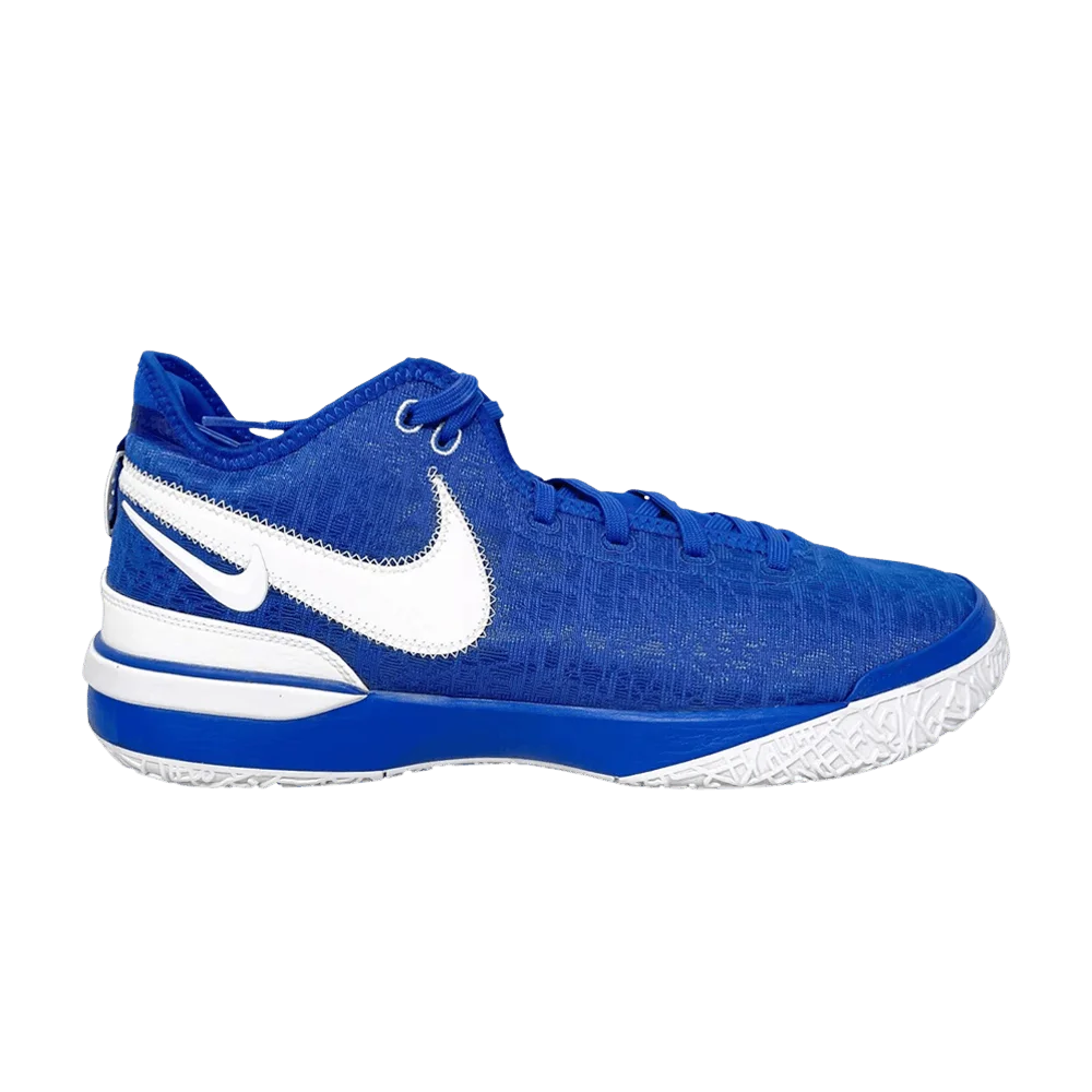Кроссовки Nike Zoom LeBron NXXT Gen TB Promo 'Game Royal'