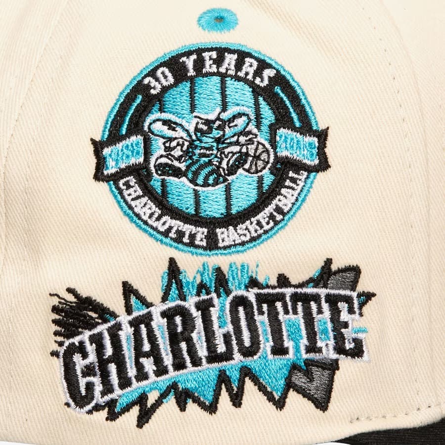 Mitchell-Ness-Cream-Charlotte-Hornets-Hardwood-Classics-Overspray-Pro-Crown-Snapback-Hat-2