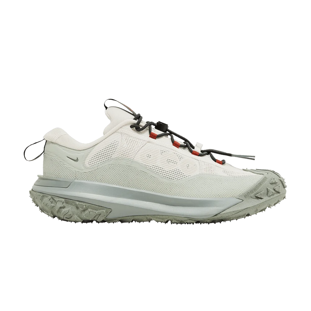 Кроссовки Nike ACG Mountain Fly 2 Low GORE-TEX 'Phantom Light Silver'