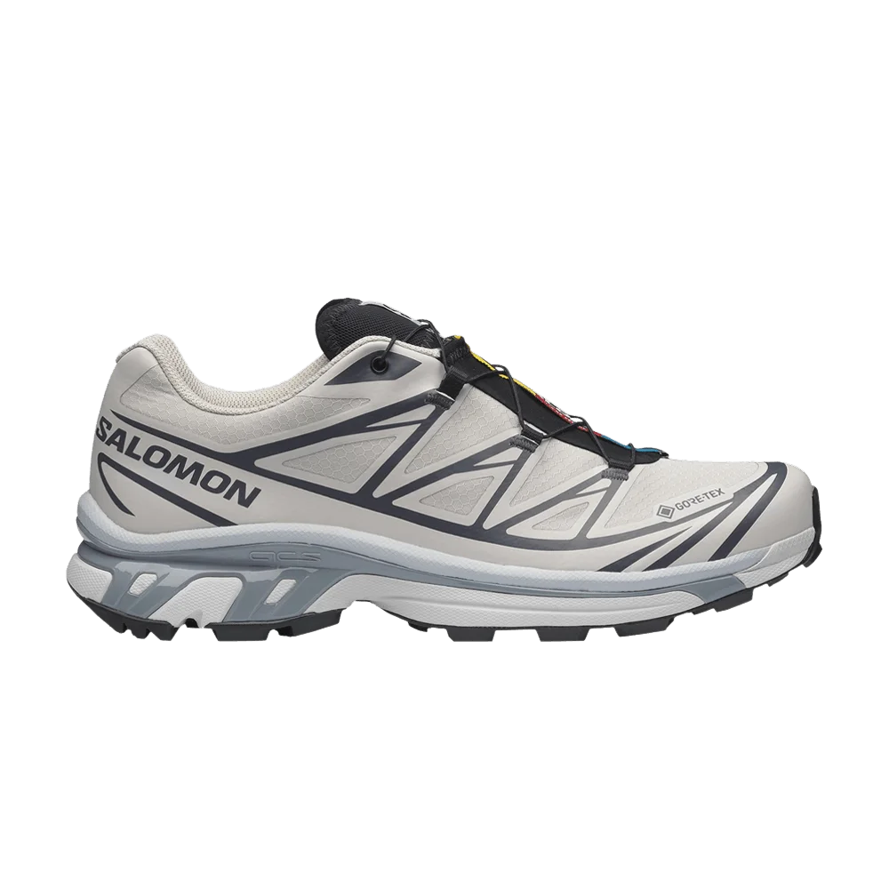 Krossovki-Salomon-XT-6-GORE-TEX-Silver-Cloud-Black