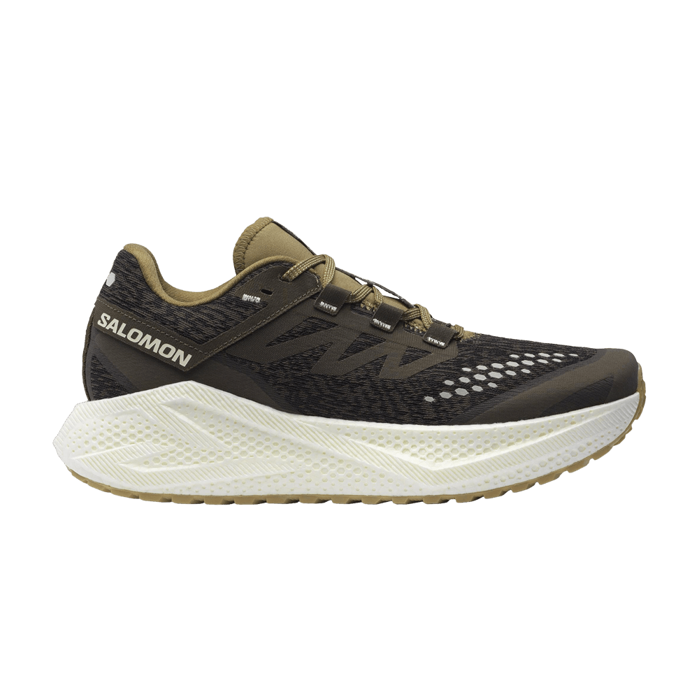 Кроссовки Salomon Aero Glide 3 GRVL 'Wren Coyote Brown'