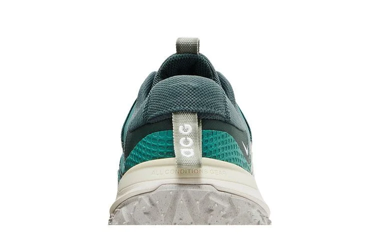 Кроссовки Nike ACG Mountain Fly Low 2 'Bicoastal'