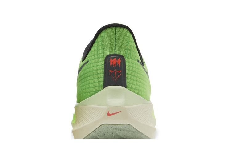 Кроссовки Nike Air Zoom Pegasus 39 'Ekiden Zoom Pack'