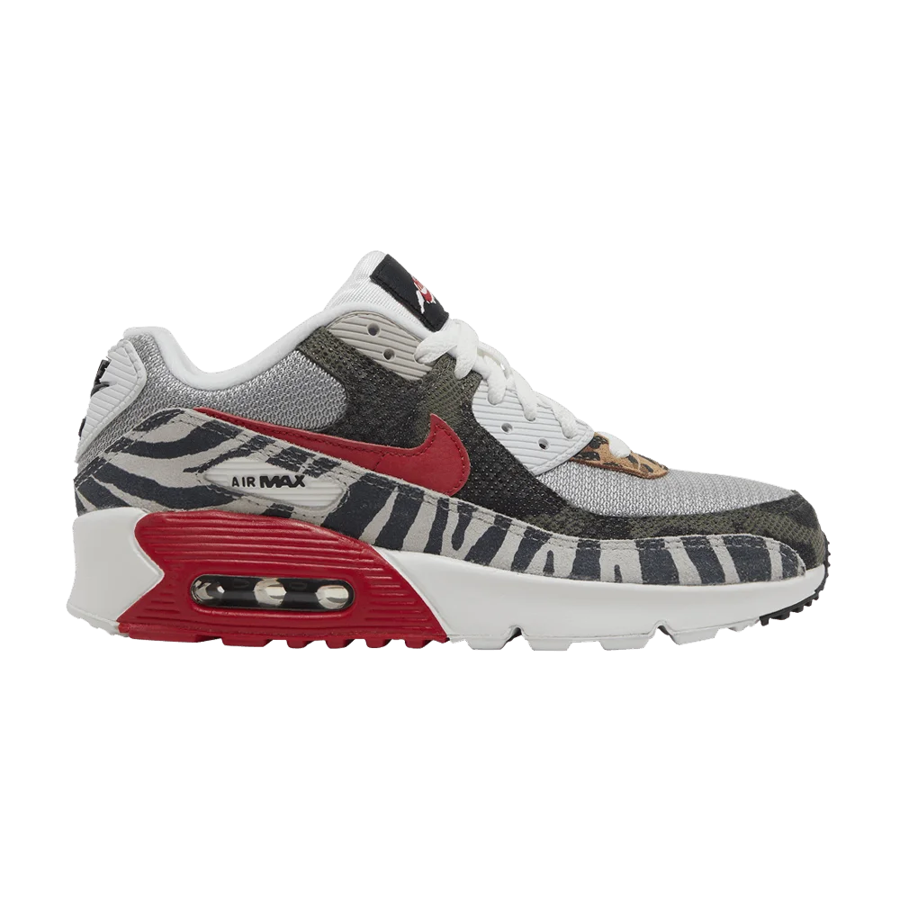 Кроссовки Nike Air Max 90 GS 'Tunnel Walk'