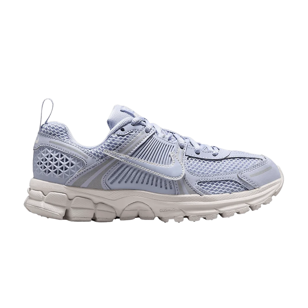 Кроссовки Nike Vomero 5 GS 'Ghost/Summit White/Platinum Tint/Ghost'