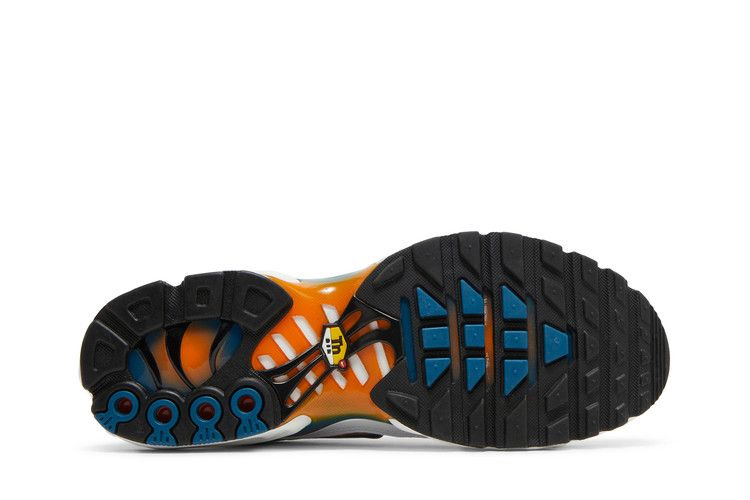Кроссовки Nike Air Max Plus 'Hiking'