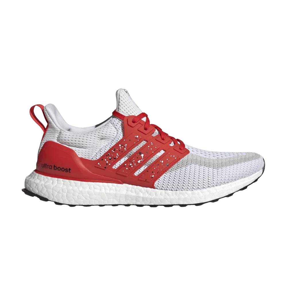 Krossovki-Adidas-UltraBoost-2.0-DNA-City-Pack-Singapore