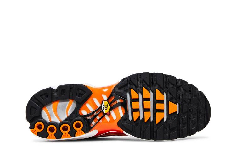 Кроссовки Nike Men's Air Max Plus 'Light Photography - Sport Red'