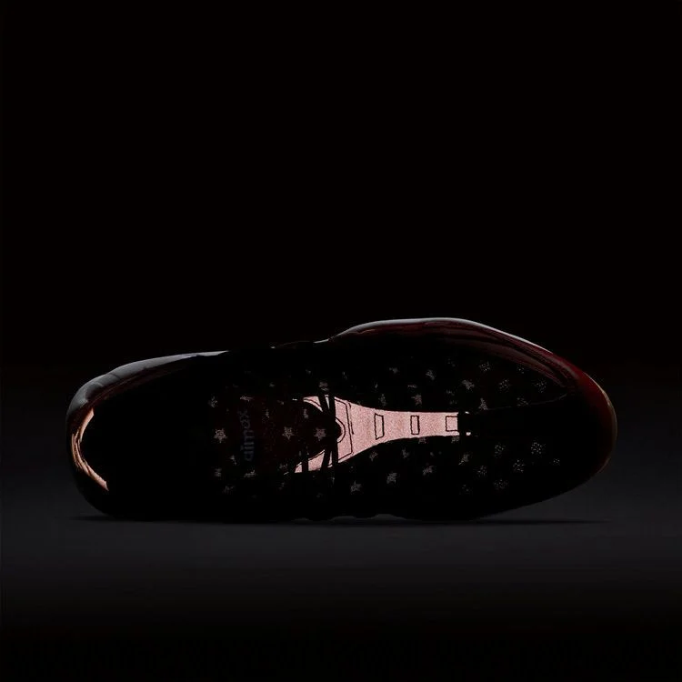 Кроссовки Nike Air Max 95 Premium 'USA'