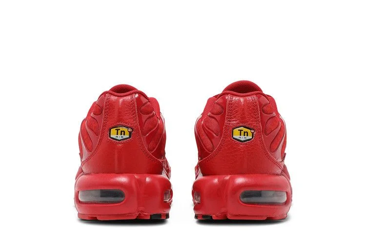 Кроссовки Nike Air Max Plus 'University Red'