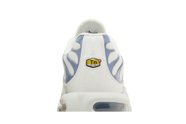 Кроссовки Nike Wmns Air Max Plus 'Ashen Slate'
