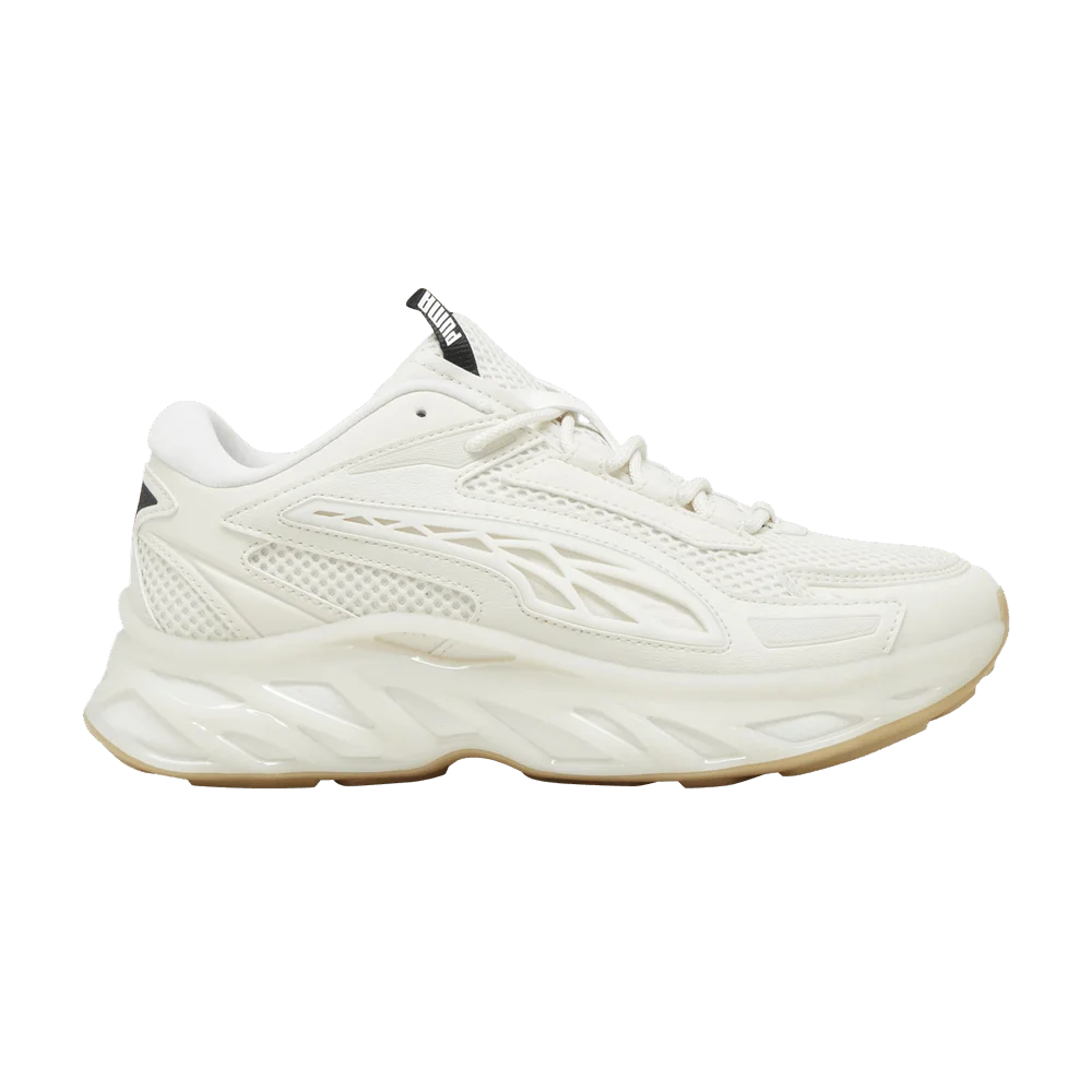 Krossovki-Puma-Exotek-Nitro-Base-Alpine-Snow