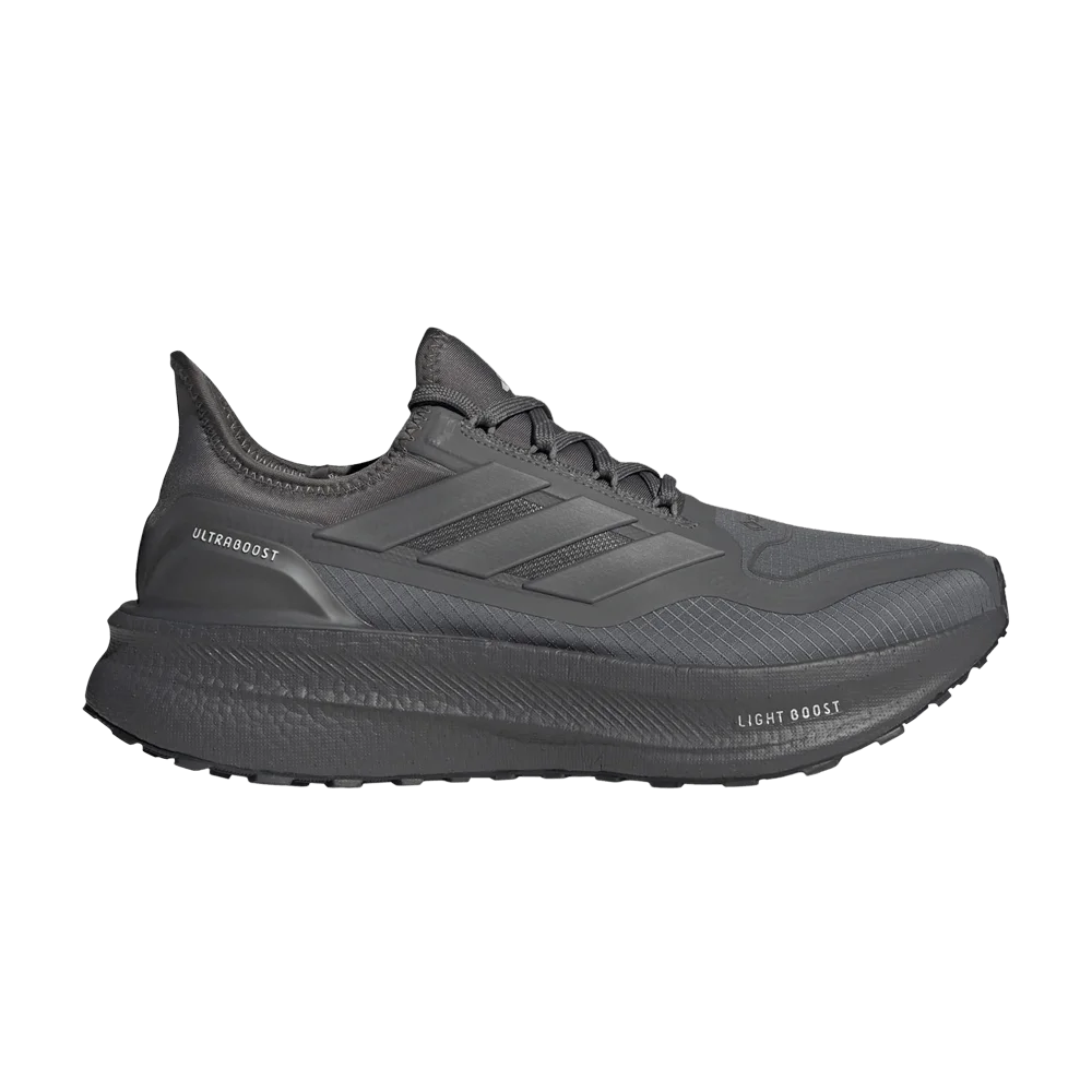 Кроссовки Adidas Ultraboost 5 GORE-TEX 'Grey Wonder Silver'