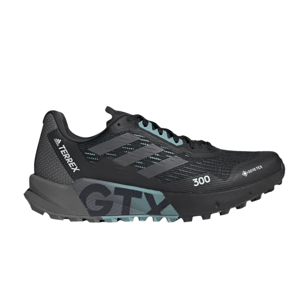 Кроссовки Adidas Wmns Terrex Agravic Flow 2.0 GTX 'Black Grey Mint Ton'