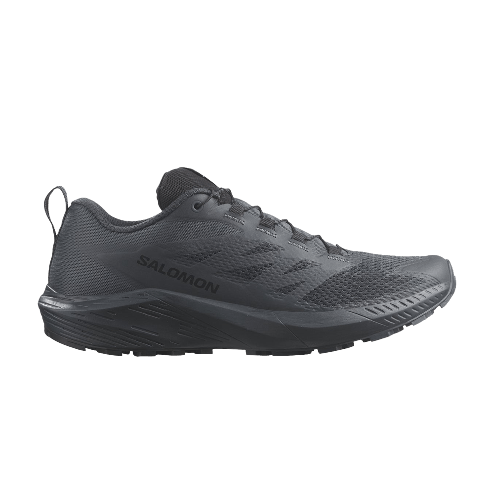 Кроссовки Salomon Sense Ride 5 SR 'India Ink'