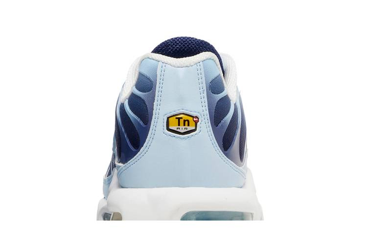 Кроссовки Nike Wmns Air Max Plus 'Celestine Blue'