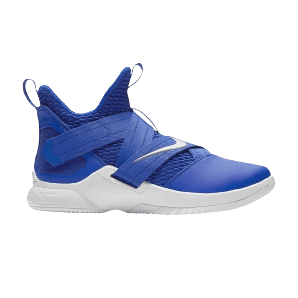 Krossovki-Nike-LeBron-Soldier-12-TB-Game-Royal