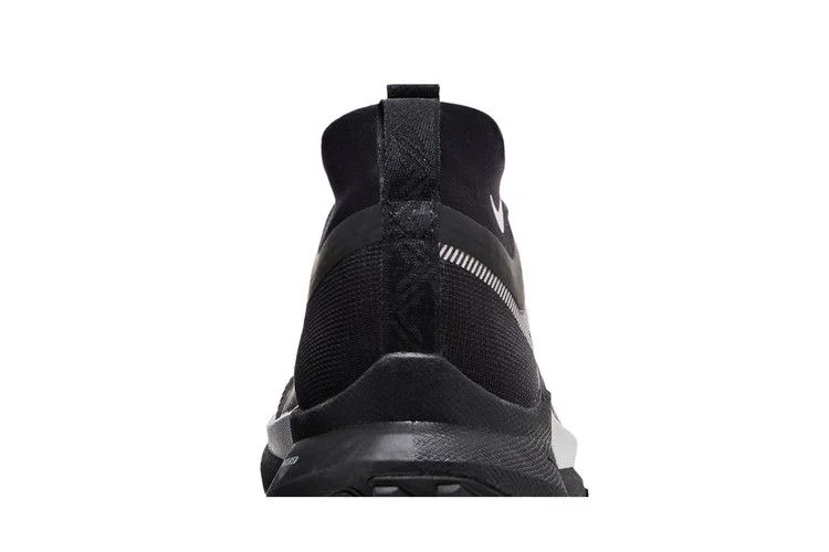 Кроссовки Nike Wmns React Pegasus Trail 4 GORE-TEX 'Black Reflect Silver'