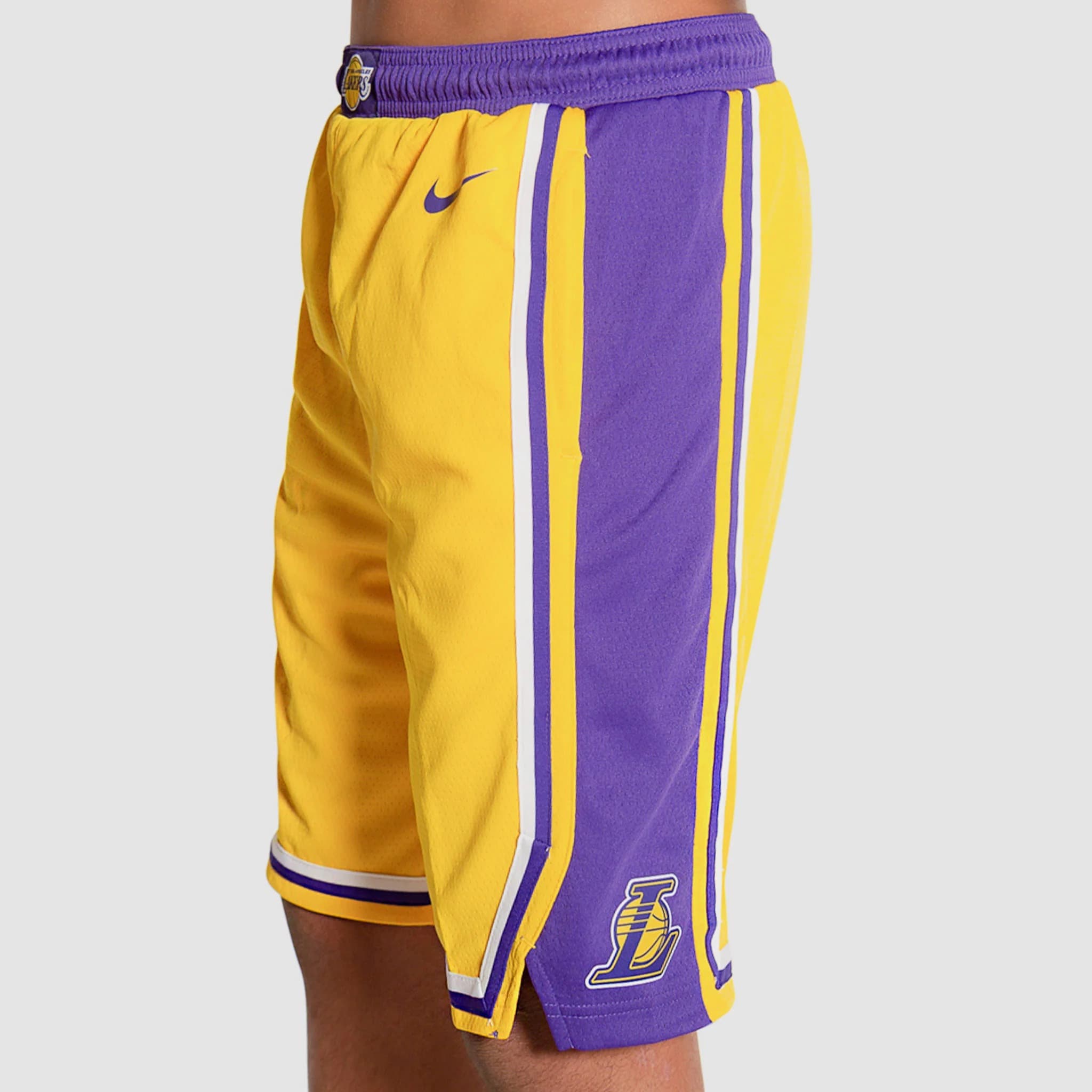 Спортивные шорты Nike Los Angeles Lakers 2024 Icon Edition Swingman Youth NBA Shorts