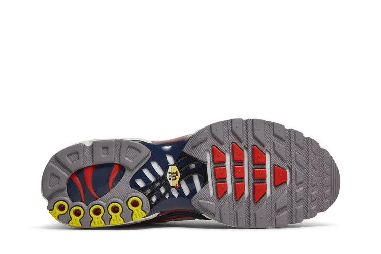 Кроссовки Nike Air Max Plus 'Grey USA'