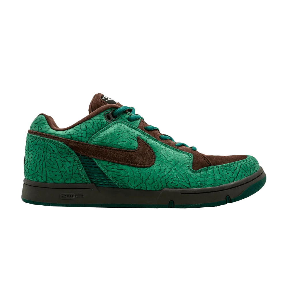 Krossovki-Nike-Zoom-Air-Angus-Charity