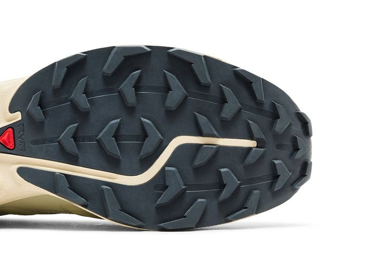 Кроссовки Salomon XT-6 Expanse 'Alfalfa Shortbread'